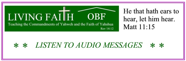 Audio